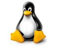 Tux, de Linux-mascotte